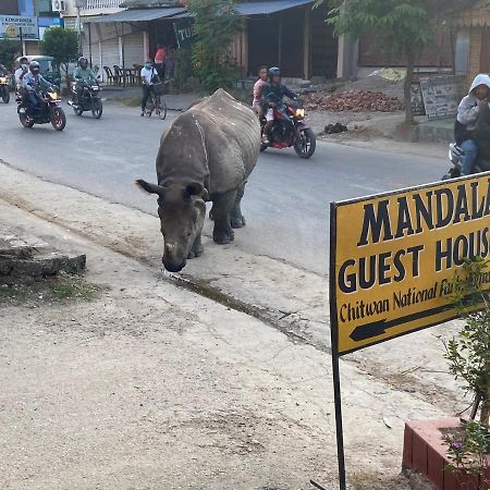 Mandala Guest House Sauraha Εξωτερικό φωτογραφία