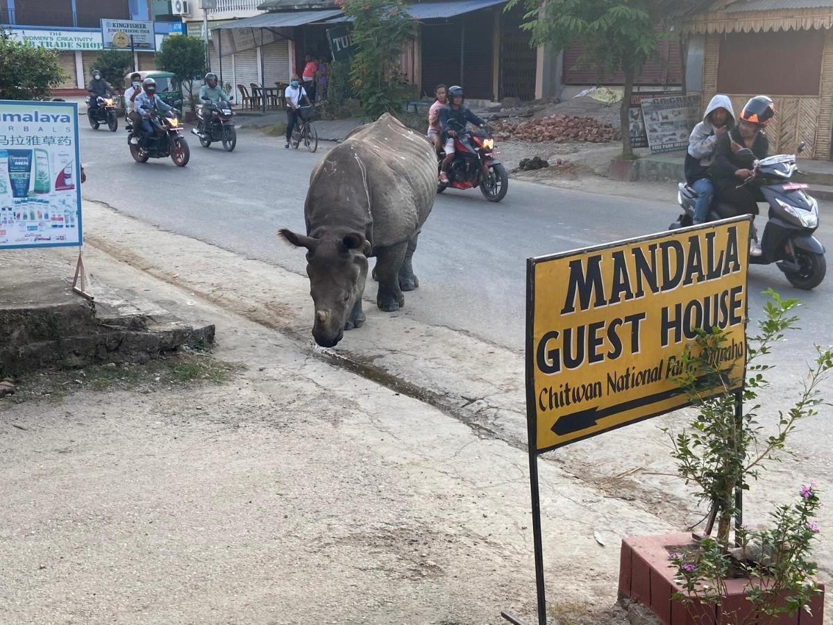 Mandala Guest House Sauraha Εξωτερικό φωτογραφία
